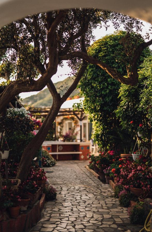 Hotel Villa Maria Sant'Angelo  Buitenkant foto